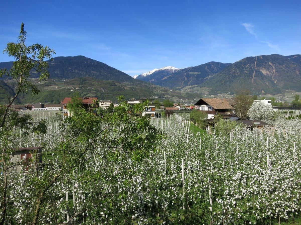 Feldererhof Διαμέρισμα Postal / Burgstall Εξωτερικό φωτογραφία